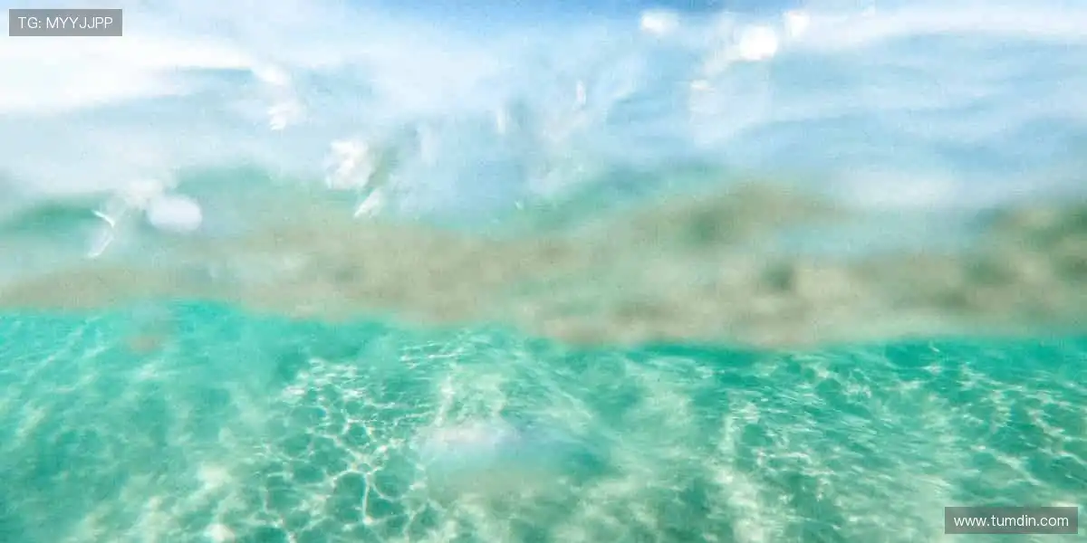 🎯 从装备到情怀,